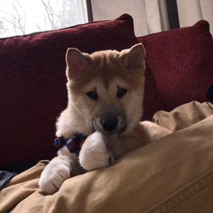 Meet your Posher, Mike